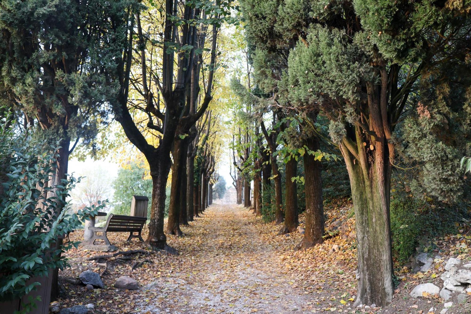 Ferienwohnung Casa Monia Lonato del Garda Exterior foto